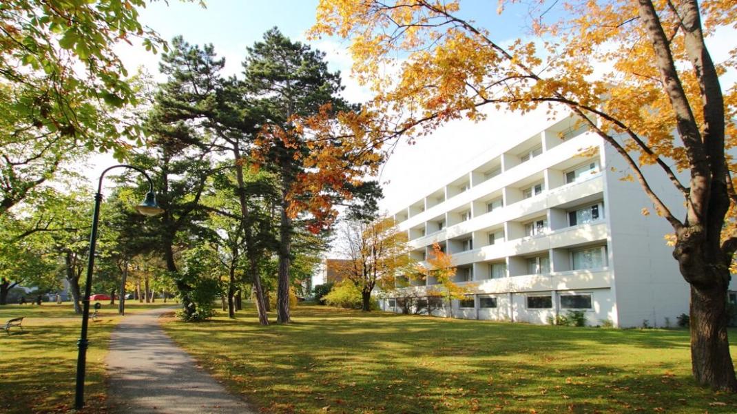 International College of Tourism & Management
