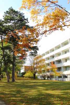 International College of Tourism & Management