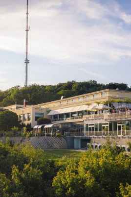 Университет MODUL