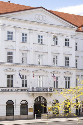 Университет Вебстер Webster